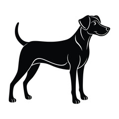 Dog with Floppy Ears Standing Calmly Silhouette on White Background