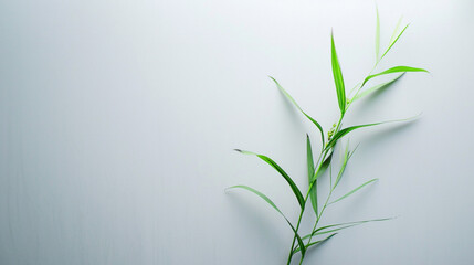 Cool neutral white background with a soft gradient fade, minimal and clean.