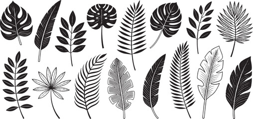 Set of Tropical Leaves icon line art black icon