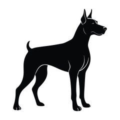 Guard Dog Standing Alert with a Powerful Stance Silhouette on White Background