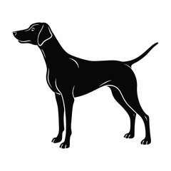 Hunting Dog in Pointing Pose Silhouette on White Background