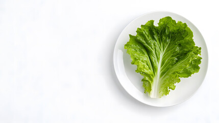 Single Fresh Green Lettuce Leaf on White Plate, Minimalist Food Photography