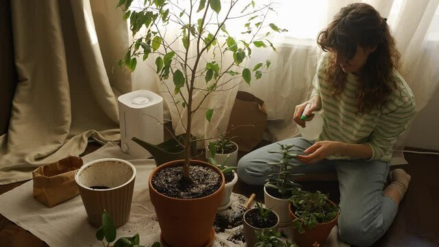 Young woman fertilizing houseplants in terracotta pots on the floor near a window in natural light, surrounded by gardening tools and supplies