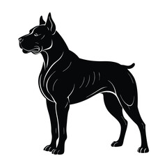 Large Dog Standing Proudly with Muscular Build Silhouette on White Background
