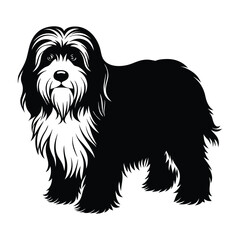Old English Sheepdog Standing with Thick Shaggy Fur Silhouette on White Background