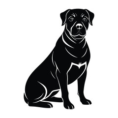 Rottweiler Sitting Calmly with Strong Chest Silhouette for Pet Stock