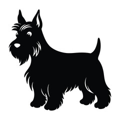 Scottish Terrier Standing with Alert Ears and Short Coat Silhouette for Stock Art
