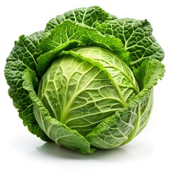 Obraz premium cabbage isolated on white background, full depth of field