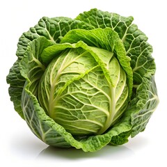 Obraz premium cabbage isolated on white background, full depth of field