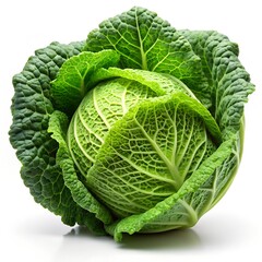 Fototapeta premium cabbage isolated on white background, full depth of field