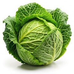 Obraz premium cabbage isolated on white background, full depth of field