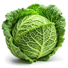 Fototapeta premium cabbage isolated on white background, full depth of field