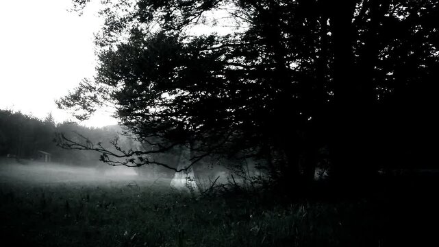 Mysterious appearance of a female ghost in an foggy woods