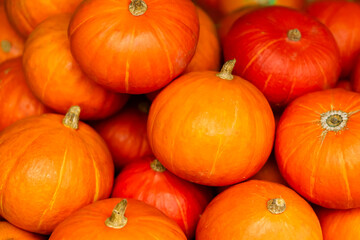 A pile of fresh orange pumpkins with smooth skin and natural texture. Perfect for autumn, harvest, organic food, and healthy eating concepts. Ideal for seasonal backgrounds.