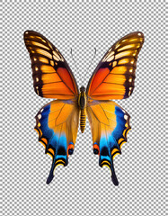 beautiful Butterfly, Colorful Butterfly Illustration on transparent background, png, psd
