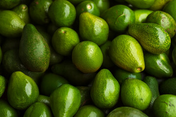 Fresh green avocados piled together, showcasing their natural texture and vibrant color. Perfect for concepts of healthy eating, organic food, and tropical fruit freshness.