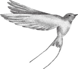 Hand drawn  stipple effect bitmap halftone texture bird on isolated background