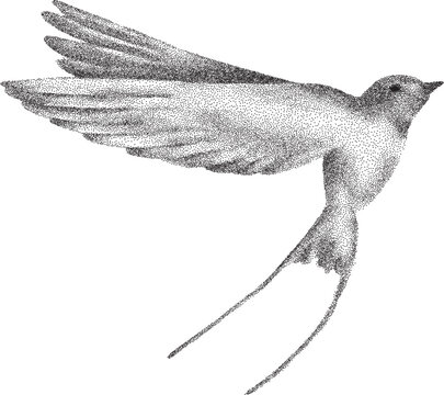 Hand drawn  stipple effect bitmap halftone texture bird on isolated background
