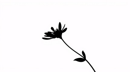 Minimalist Black Flower Silhouette on White Background - Elegant Line Art