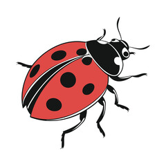 ladybug on white background