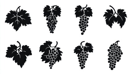 Grape clusters silhouettes, decorative design elements, set for graphic use