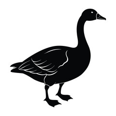 Gander walking with chest puffed out silhouette on white art