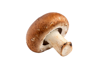 Cremini Mushroom Vegetable PNG Download – Crisp & Clear Transparent Images
