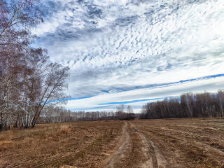 Captivating view of a tranquil landscape with clouds over a winding dirt path in autumn