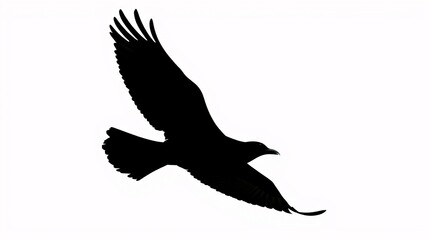 Black Bird in Flight Silhouette - Detailed Wings and Smooth Curves on White Background