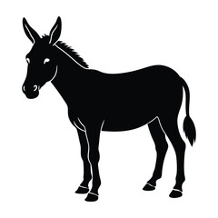 Mule standing with sturdy legs and short mane silhouette on white