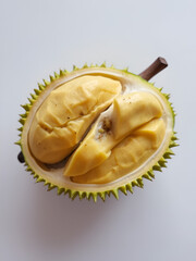 Fototapeta premium Exotic durian fruit with sections on white