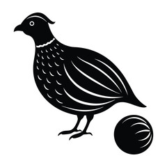 Quail standing with small round body silhouette on white art