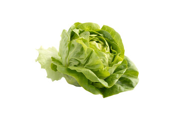 Download High-Quality Butterhead Lettuce Vegetable PNG Images with Transparent Background for Free