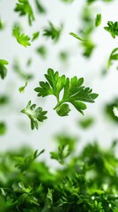 Obraz premium Fresh parsley leaves falling against a bright background creating a vibrant and dynamic food photography scene with a clean and modern aesthetic