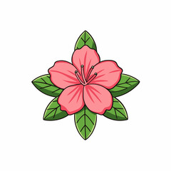 pink flower with green leaves azalea