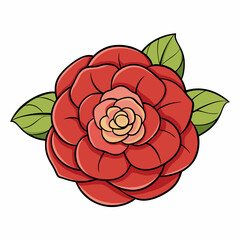 pink rose on white background