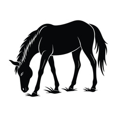 Horse Grazing with a Slightly Bent Front Leg Silhouette on White Background