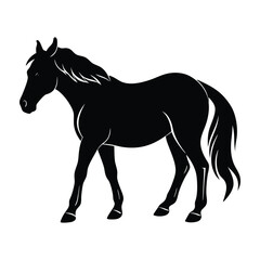 Horse Grazing with Front Leg Slightly Bent Silhouette on White Background
