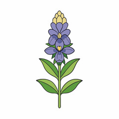 violet flower isolated on white background