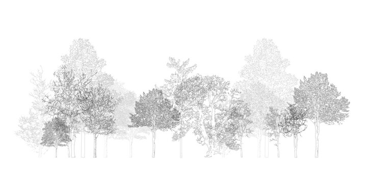 Architectural Drawings, Minimal style cad tree line drawing, Side view, set of section wetland forest outline for landscape design drawing. Vector illustration in seperate element