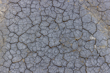 Dry cracked mud texture forming interesting patterns, indicating severe drought conditions
