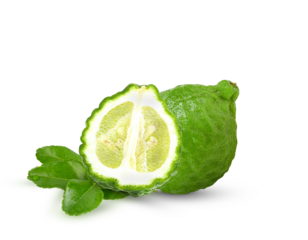 Bergamot kaffir lime leaves herb fresh ingredient  on transparent.