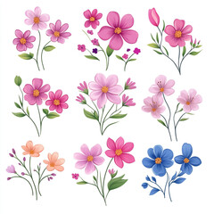 Colorful watercolor floral branch collection
