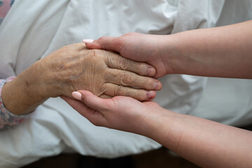 A young womans hands gently hold the hands of an elderly female patient in a hospital bed,...