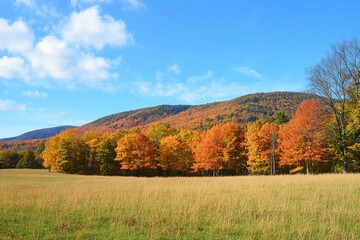 Fototapeta premium Vibrant Autumn in Pennsylvania Mountains: A Colorful Landscape Under October Blue Skies