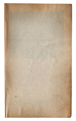 Vintage background of old ancient torn paper texture isolated