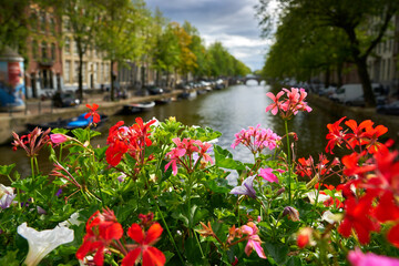 Amsterdam Flowers Over Canal. A scenic canal in Amsterdam with flowers on a bridge, Netherlands.


