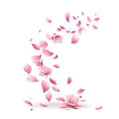 2D flat vector illustration pink blossom petals falling to the ground icon isolated on a white background.

