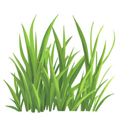 2D flat vector illustration soft green grass growing in spring icon isolated on a white background.

