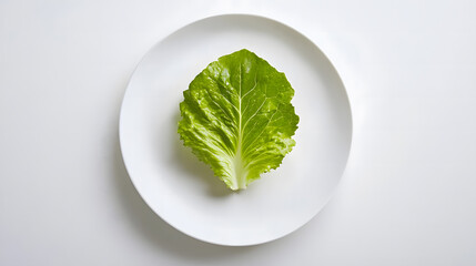 Single Leaf of Fresh Green Lettuce on a White Plate
